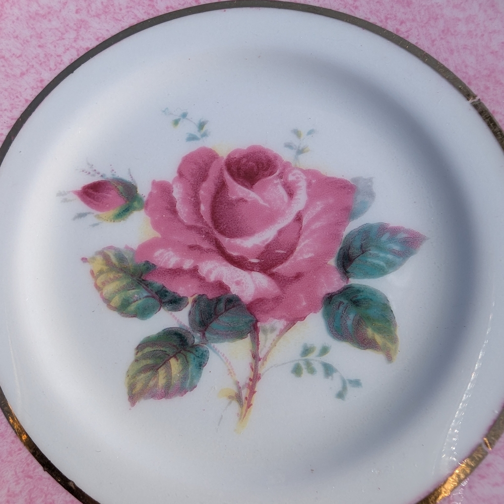 PARAGON Double Warrent Tea Cup With A Floating Pink Cabbage Rose - Picture 8 of 12